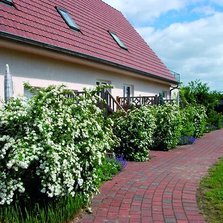 In Am Mueritzsee Buchholz (Mecklenburg-Vorpommern)