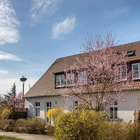 Apartman In Am Mueritzsee