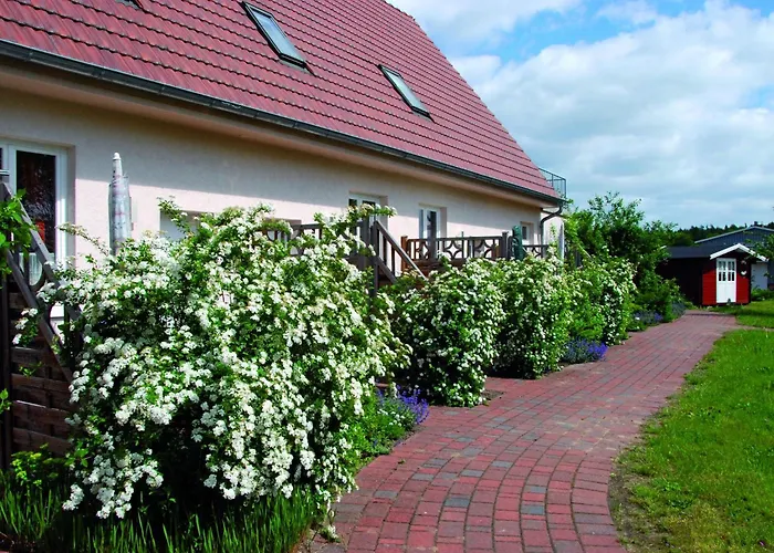In Am Mueritzsee Buchholz (Mecklenburg-Vorpommern)