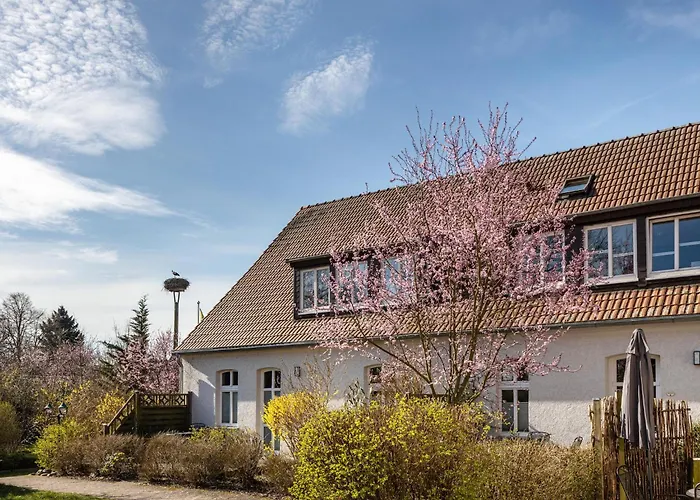 Διαμέρισμα In Am Mueritzsee